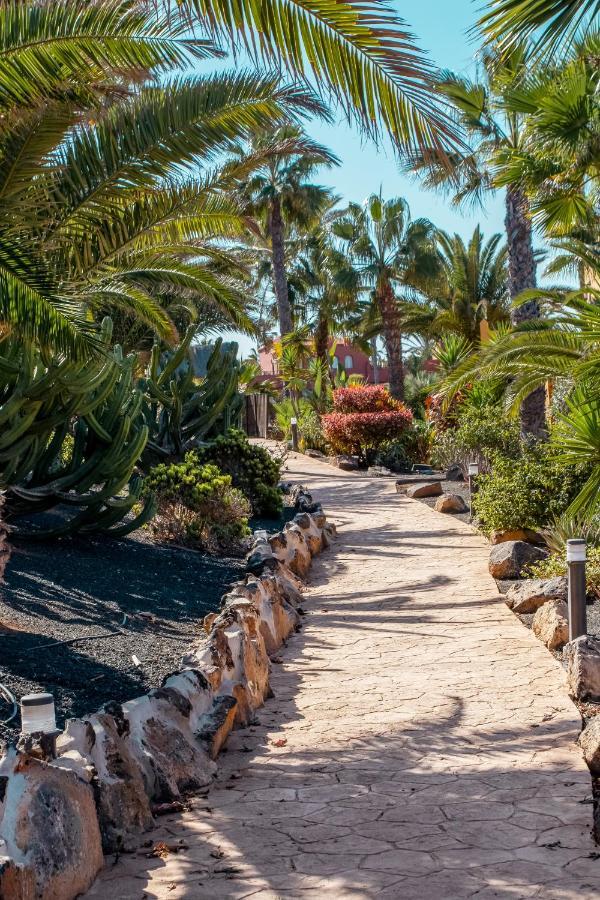 Apartahotel Oasis Fuerteventura Beach 3*